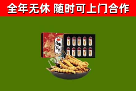 北川回收冬虫夏草价格